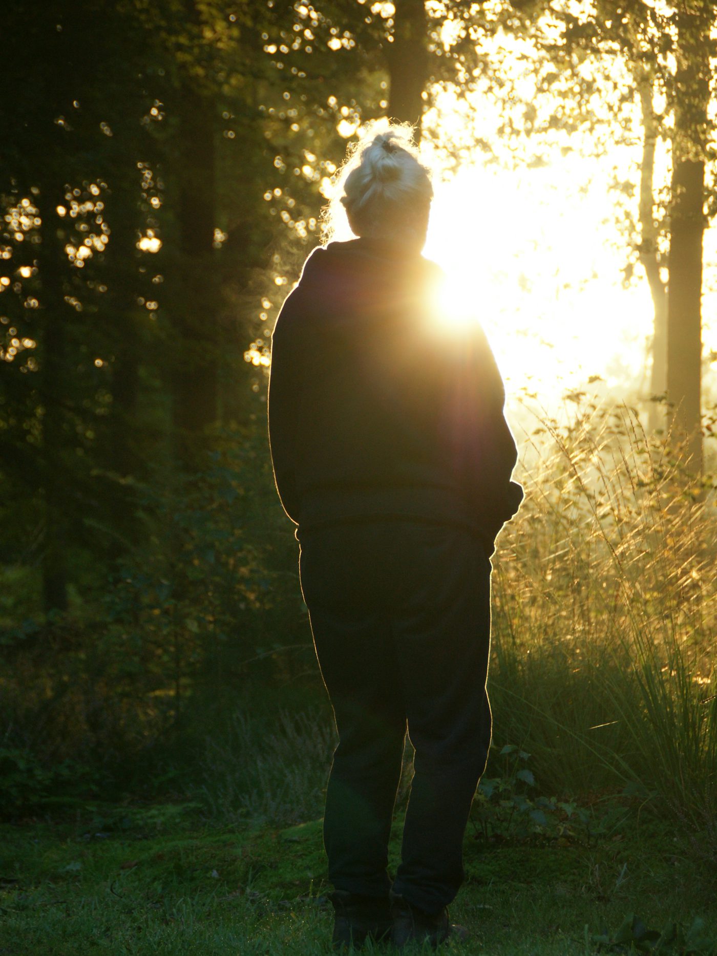 A woman with grey hair, seen from behind, standing in low morning sun at the edge of a wood